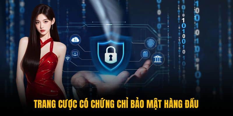 giấy chứng nhận bảo mật Geotrust
