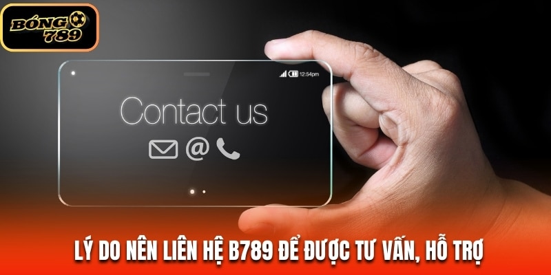 Lý do nên liên hệ B789 để được tư vấn, hỗ trợ